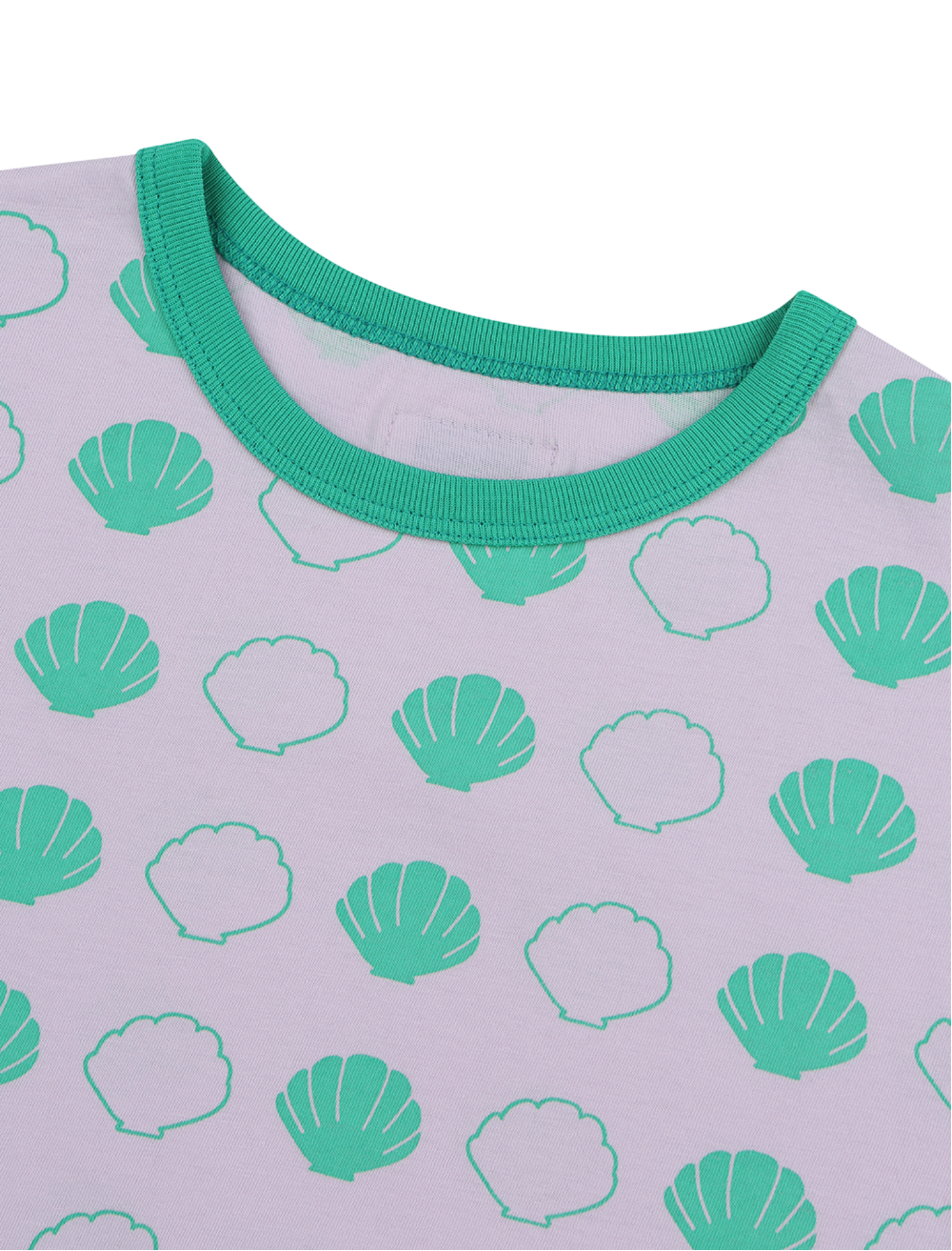Seashell Set