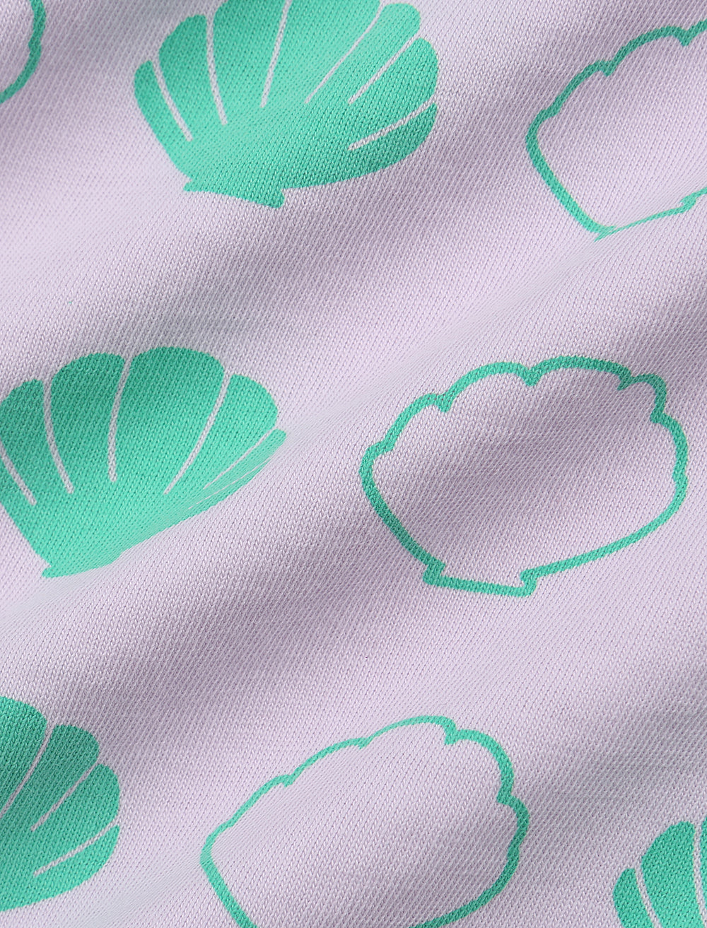 Seashell Set